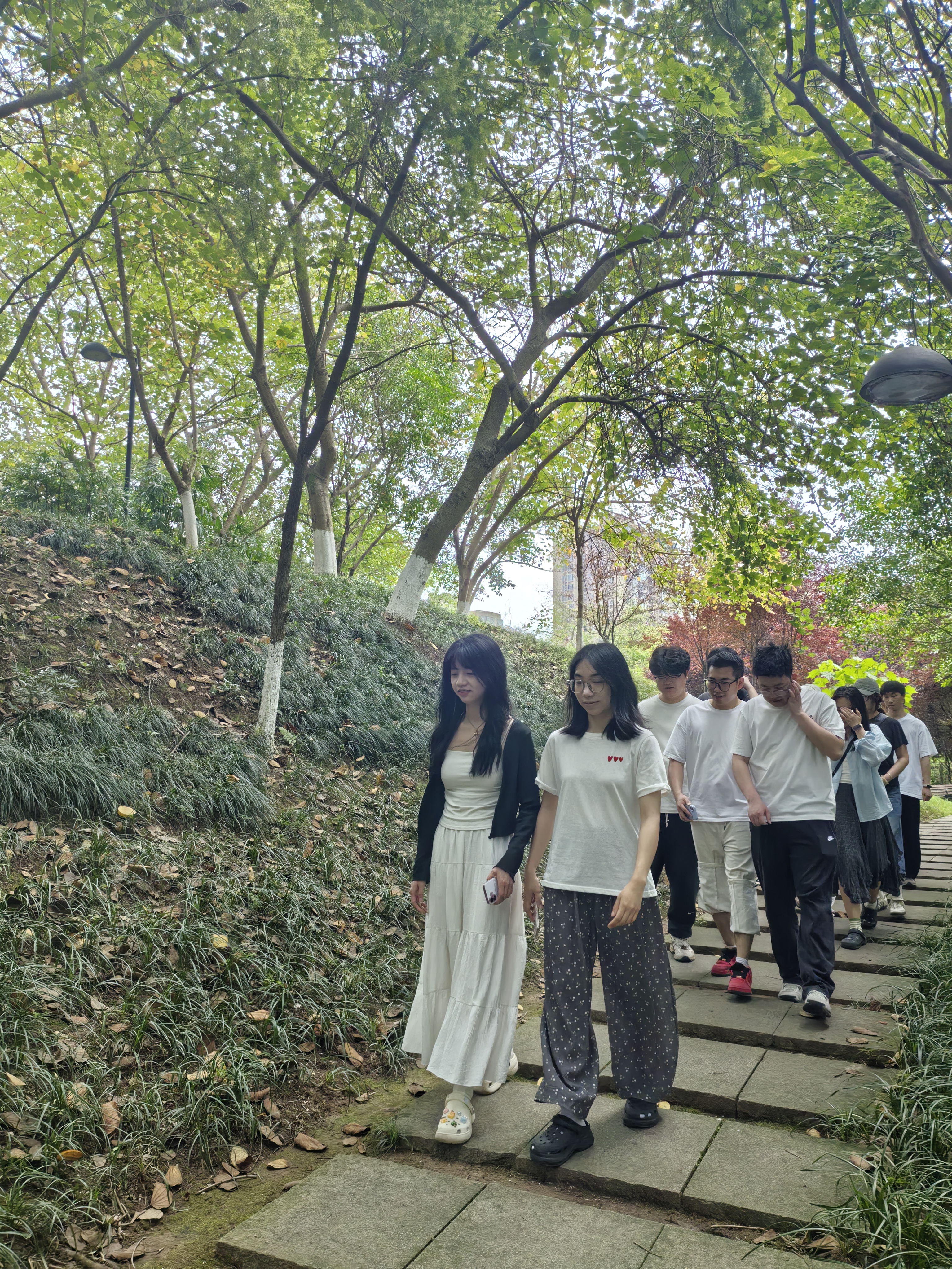 文明交通绿色出行3.jpg
